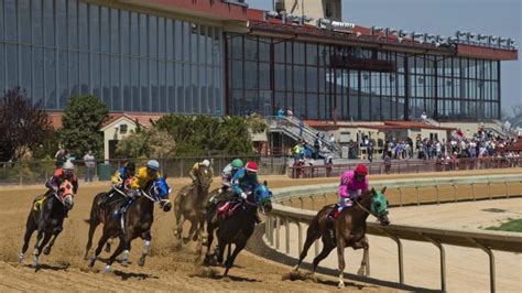 hollywood casino & inn at charles town races